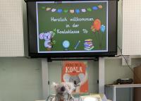 Herzlich Willkommen in der Koala klasse Tafel